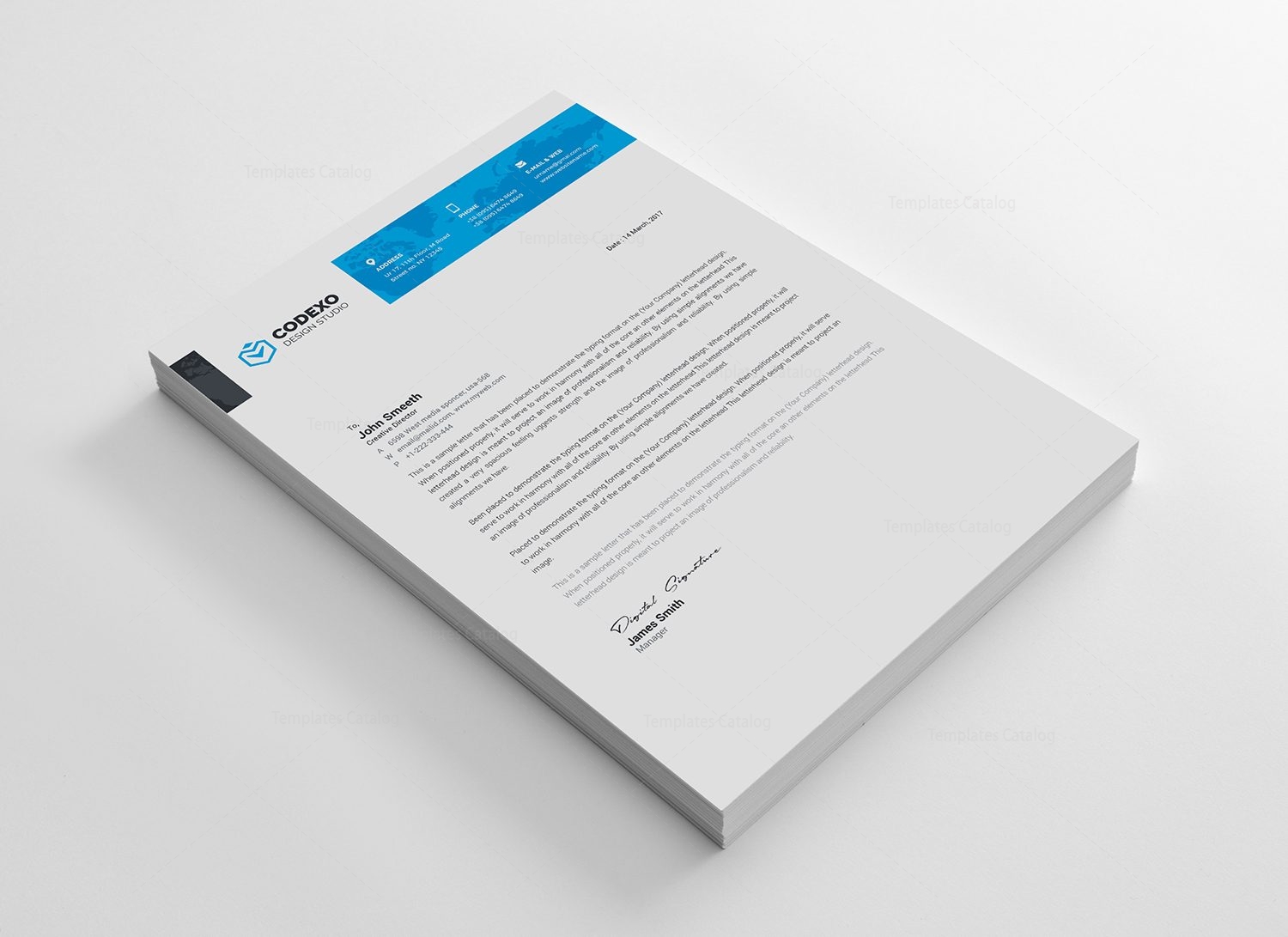 Venice Professional Corporate Letterhead Template · Graphic Yard 