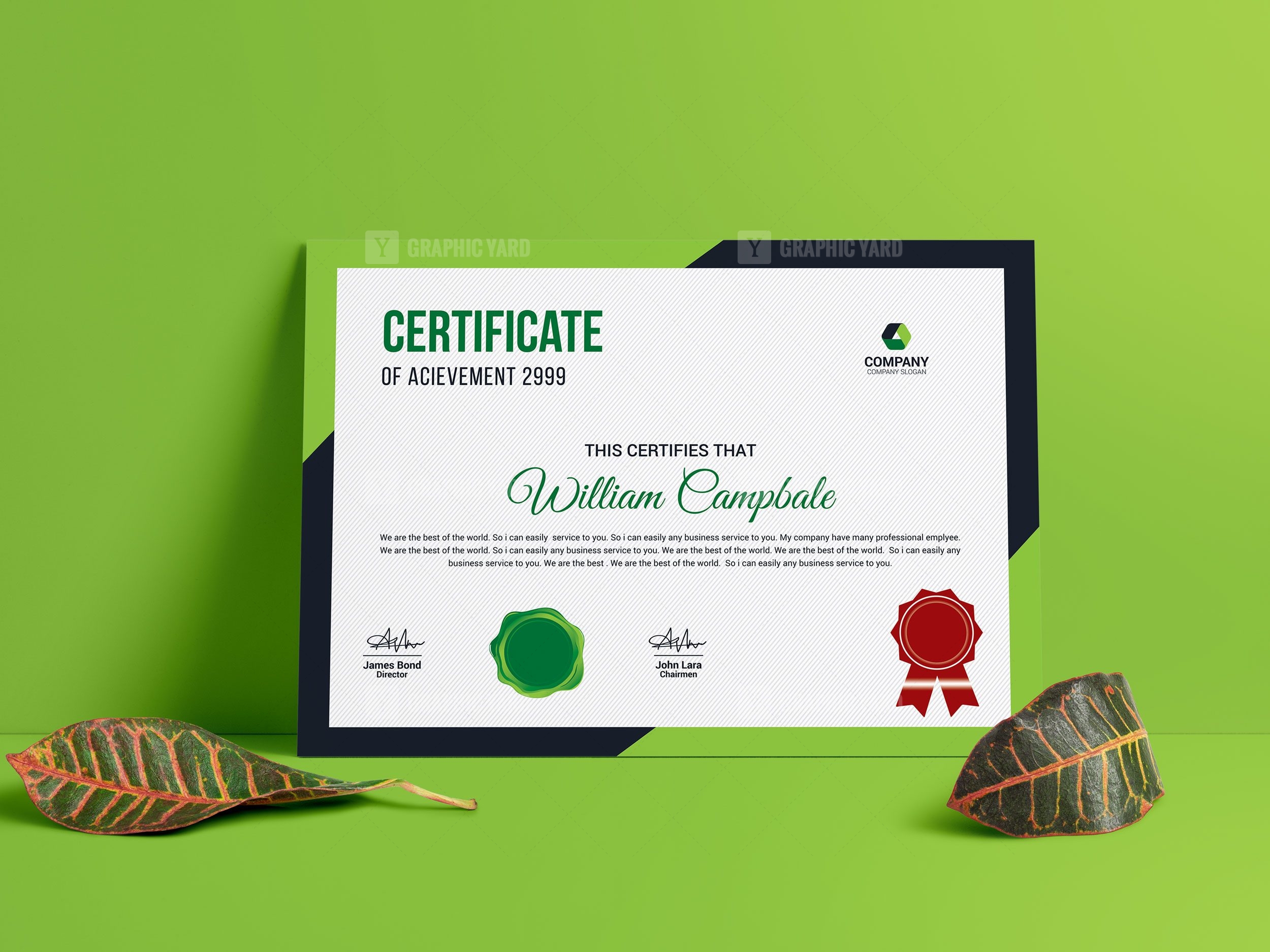 Infographic Tutorial Illustrator Cs3 Templates For Certificates 7834